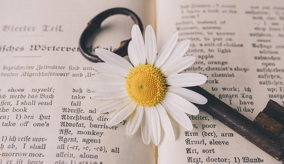 Untranslatable Emotions Words in Shayari That Have No English Equivalent